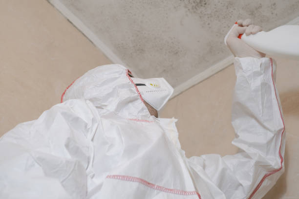 Best Office Mold Removal Services  in Loyal, WI